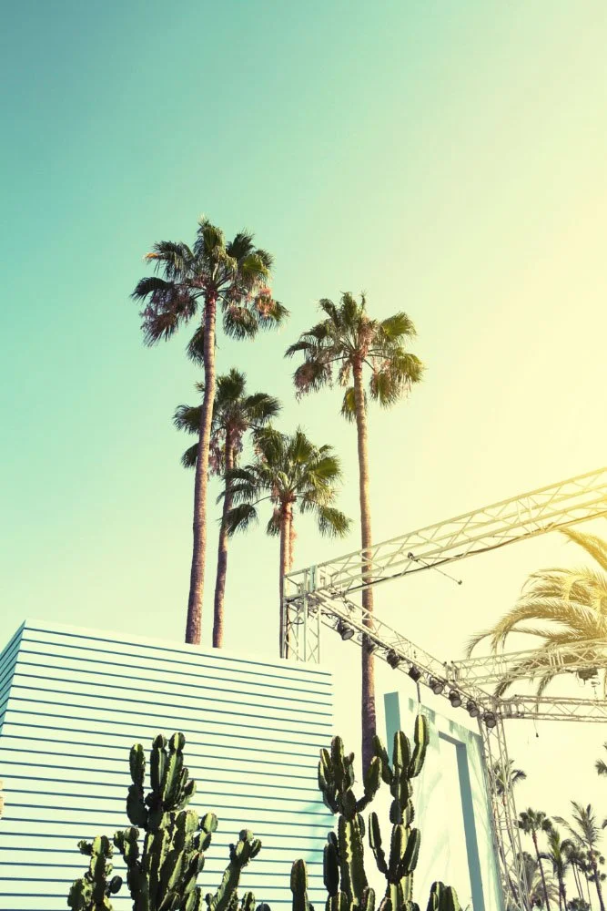 Los Angeles vibes