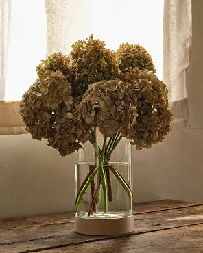 Eco Glass Vase