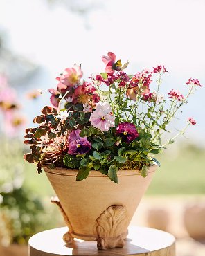 Leaf Footed Galestro Pot