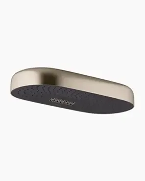 Statement Shower Head