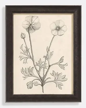 French Botanicals Wall Art Print