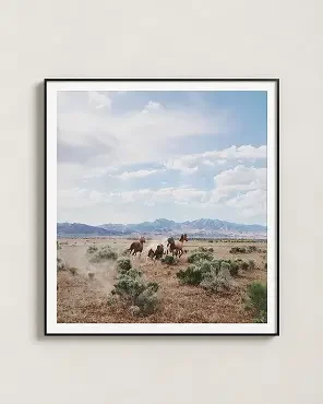 Running Horses Framed Art Print