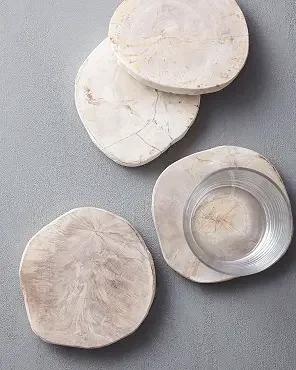 Petrified Wood Coaster Sets