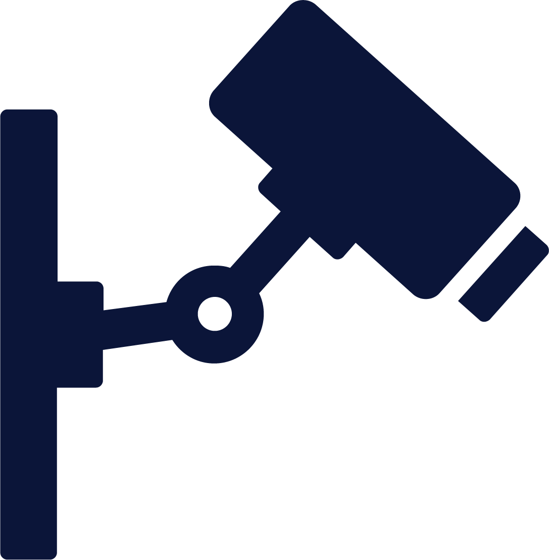 Surveillance Cameras
