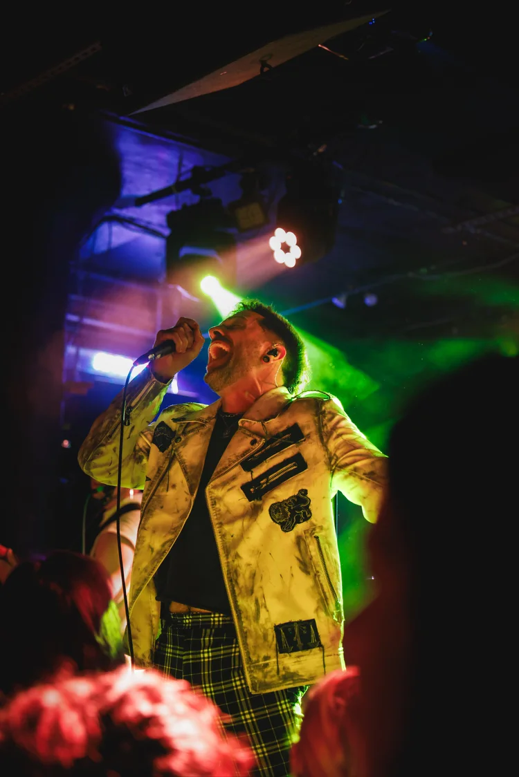 Stray View performing on stage during a live show