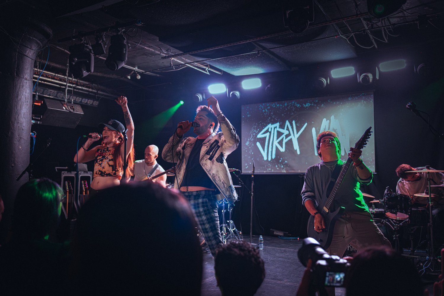 Stray View performing live on stage during a concert