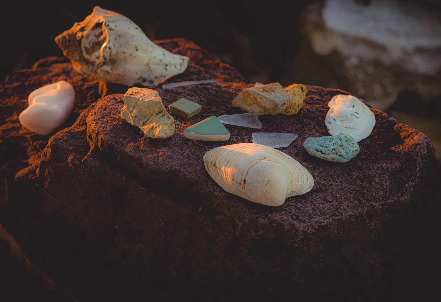 Seashells, sea glass, and small stones arranged on a dark textured surface in warm golden light