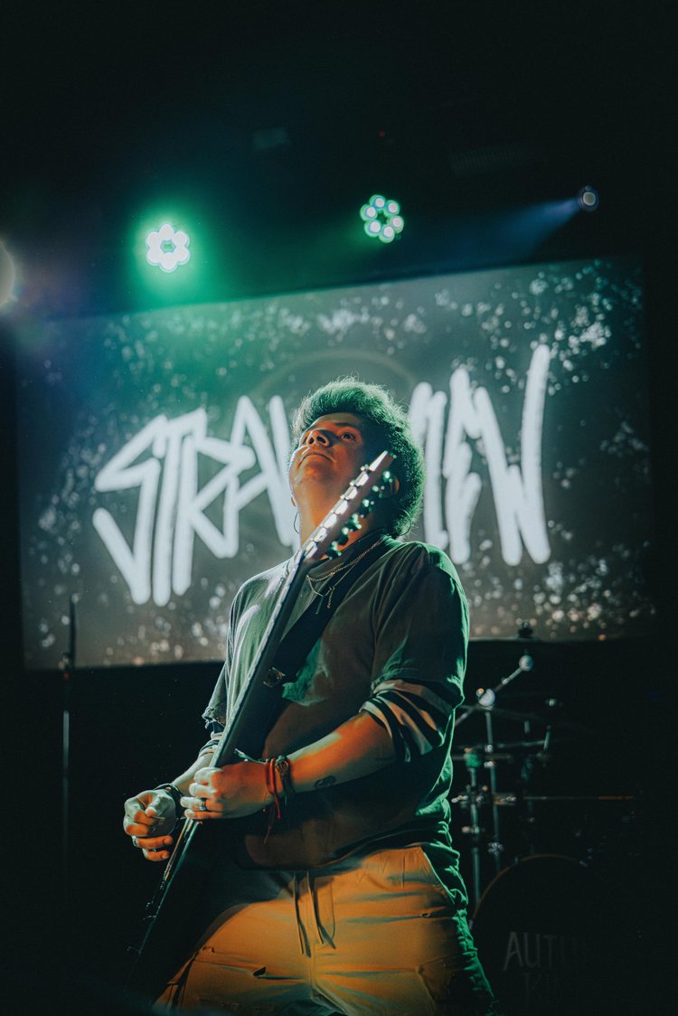 Stray View performing live during a concert set