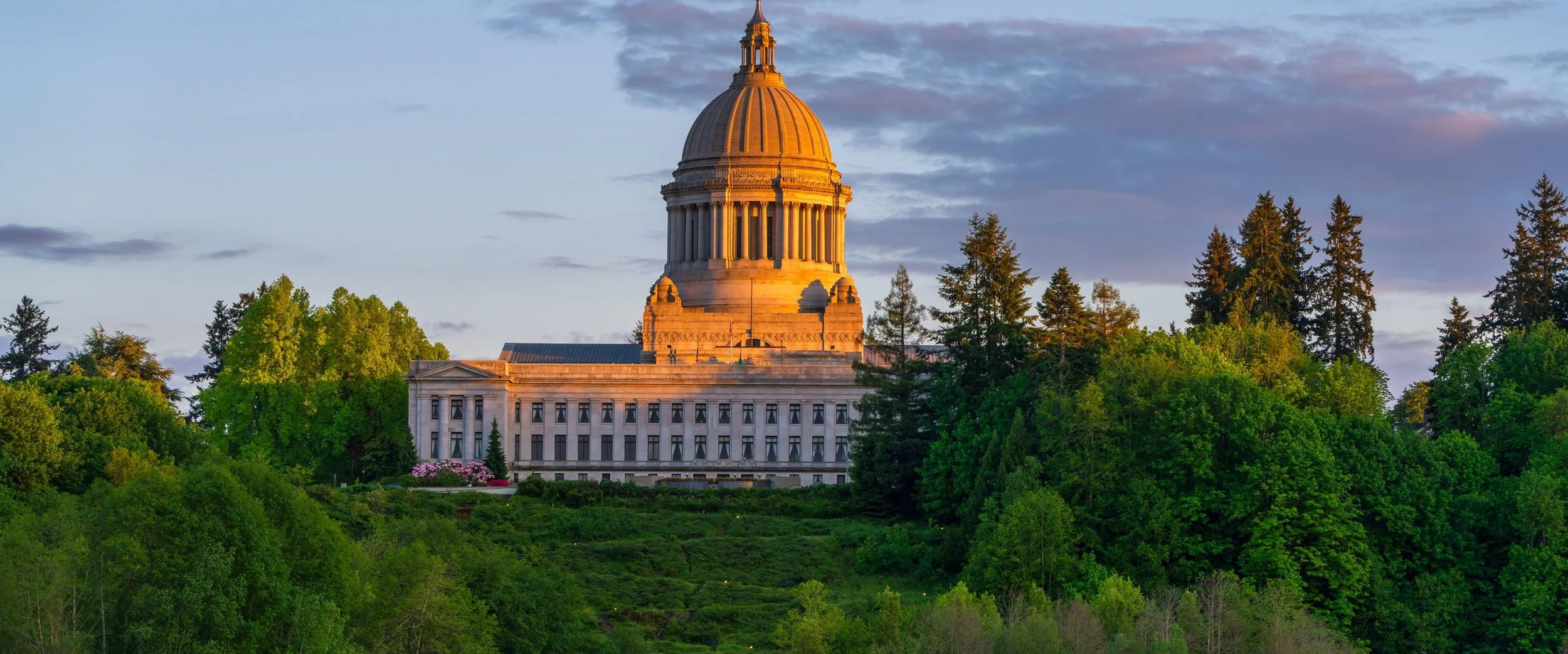 The Washington State Capitol dome lit by the evening sun above the trees
