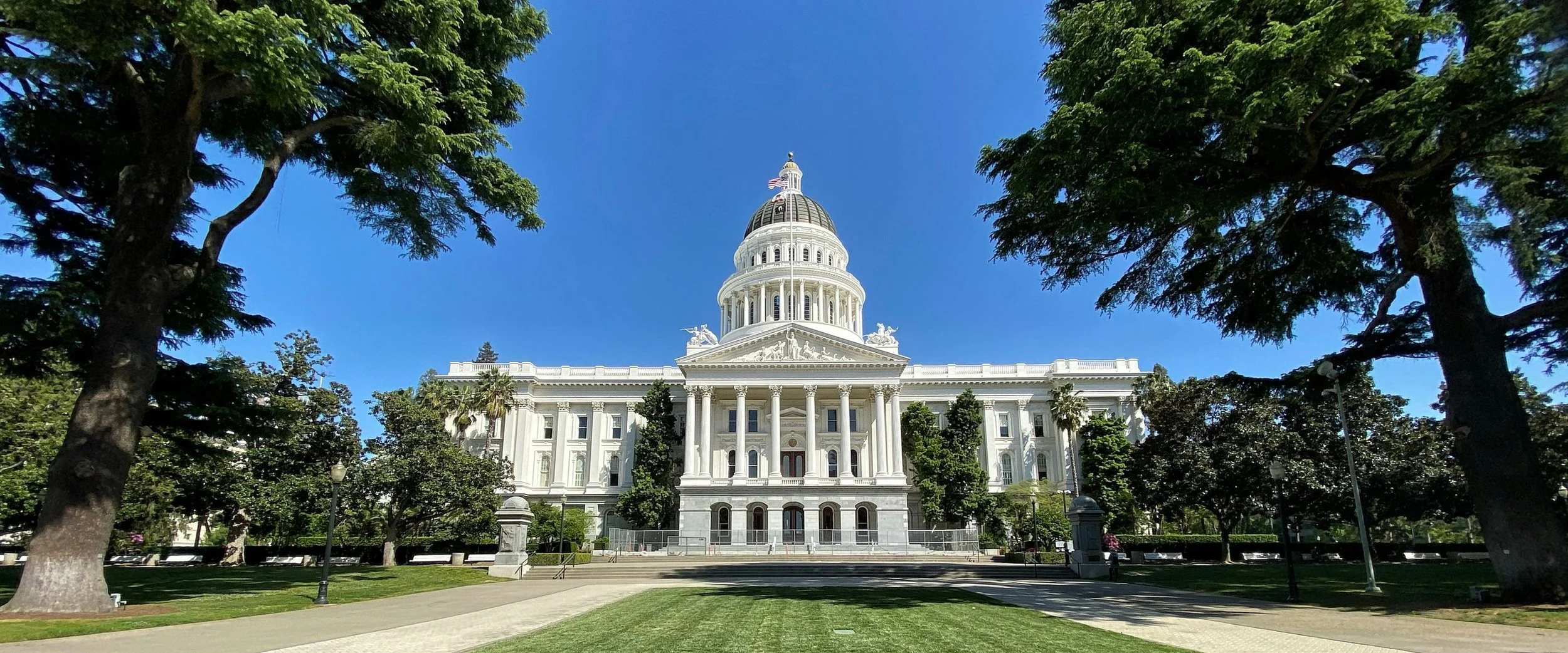 The California State Capitol framed by trees under a deep blue sky