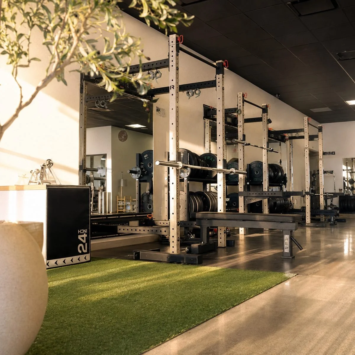 Open gym rack area at IronBody Studios
