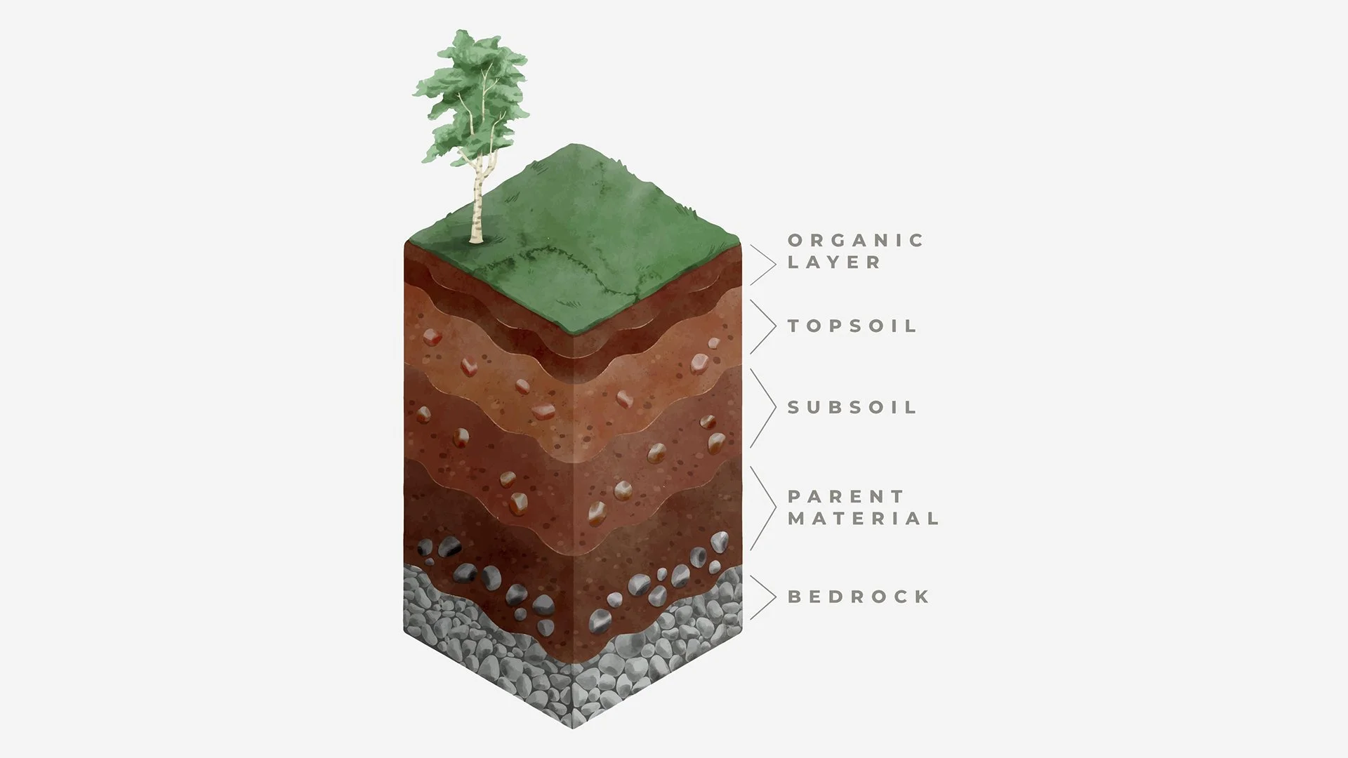 True Ground Design For Nature - F - Research