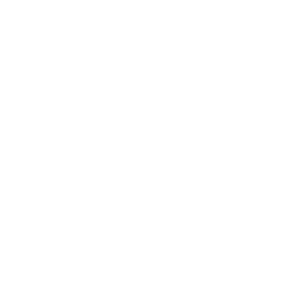 NanoFlex stain protection icon
