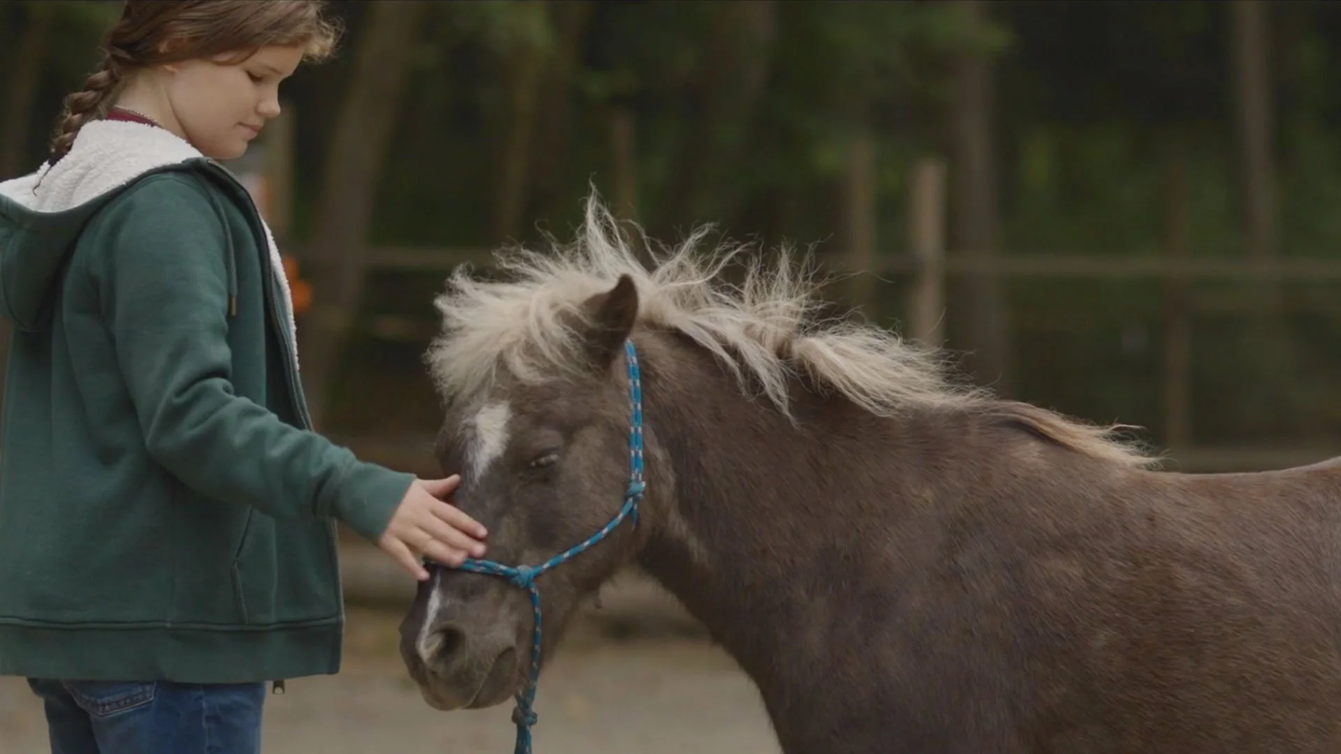 Golden Oaks film still