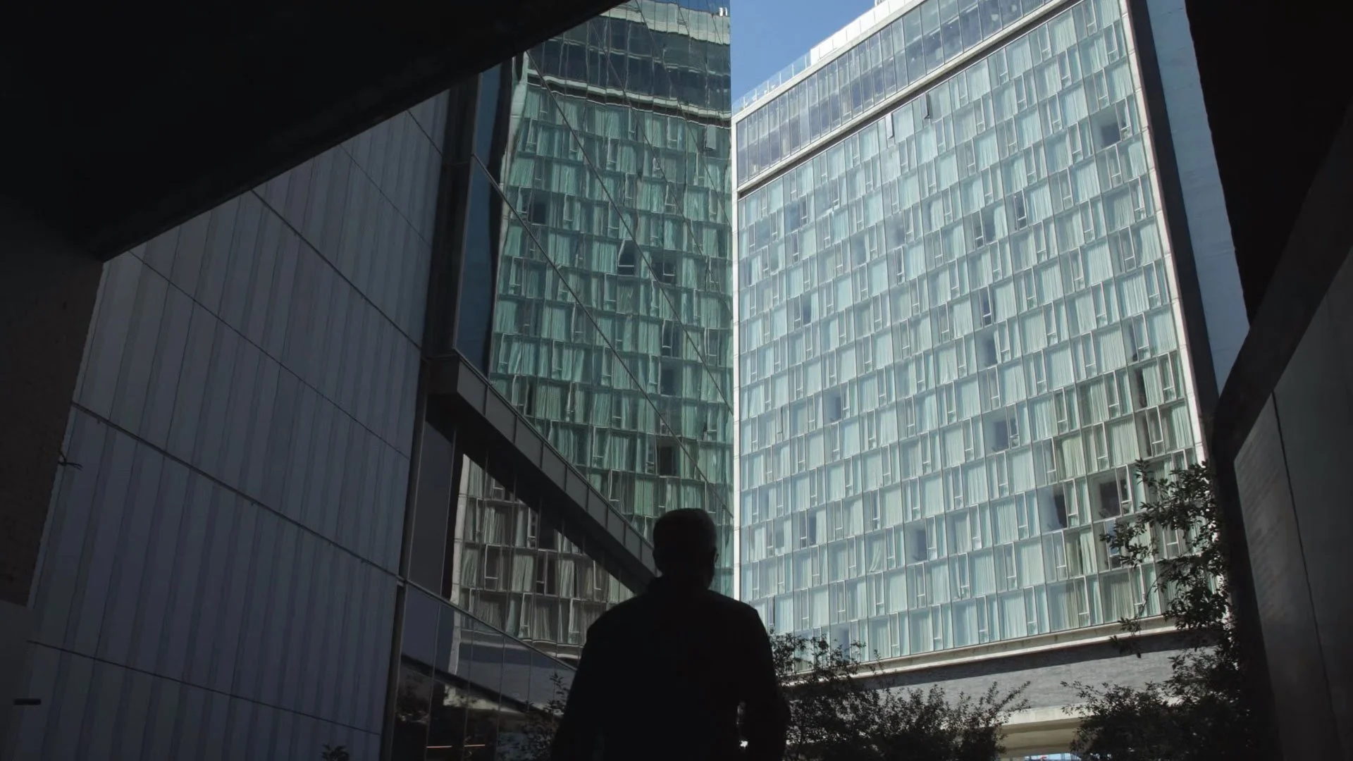 Dr. Wolfeld film still