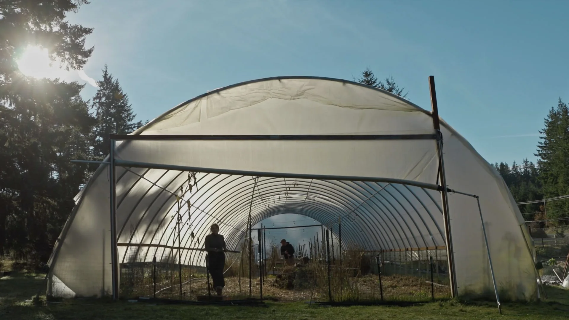 Wet Feet Farming film still