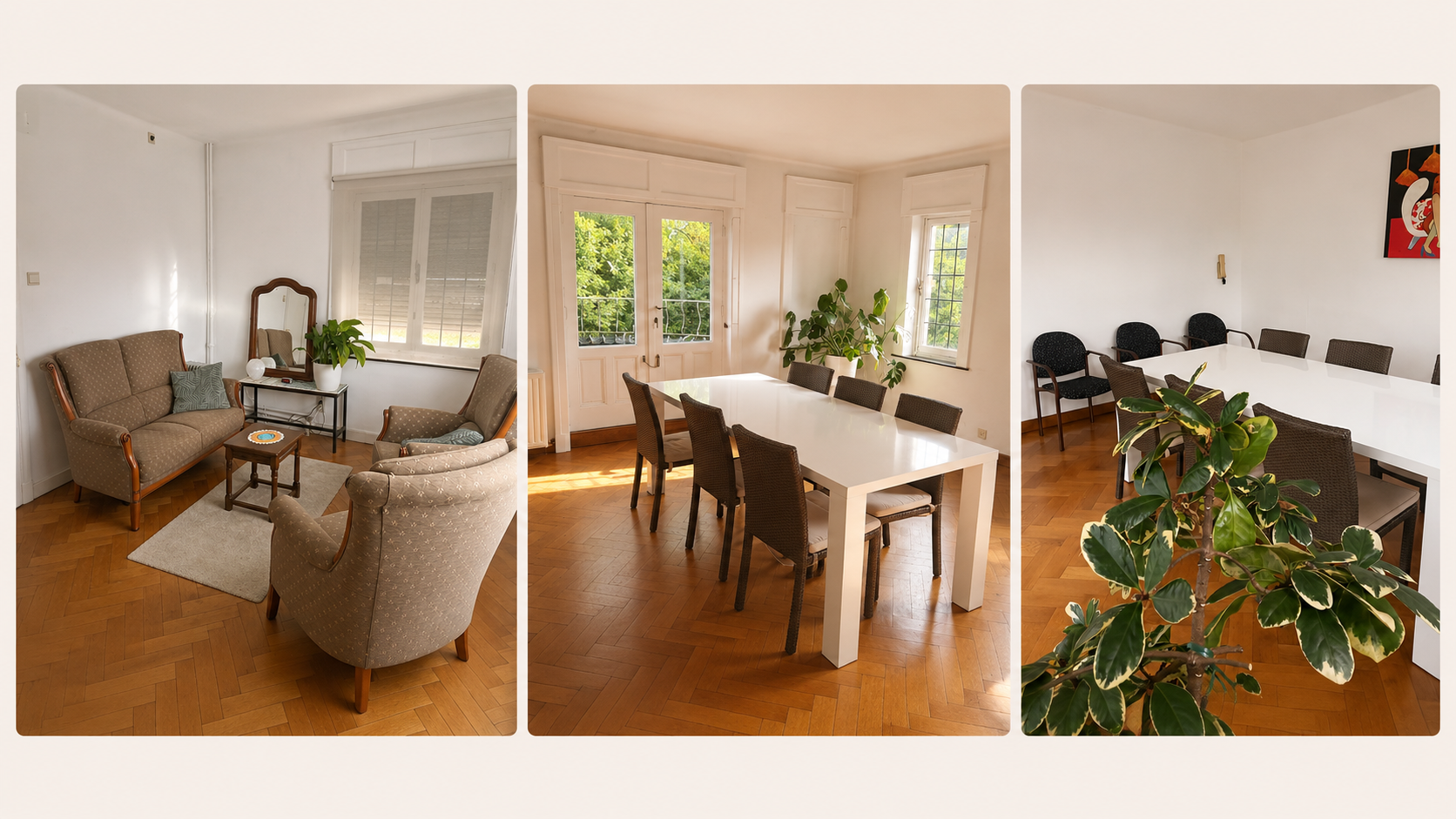 Rooms and spaces at Tribalys
