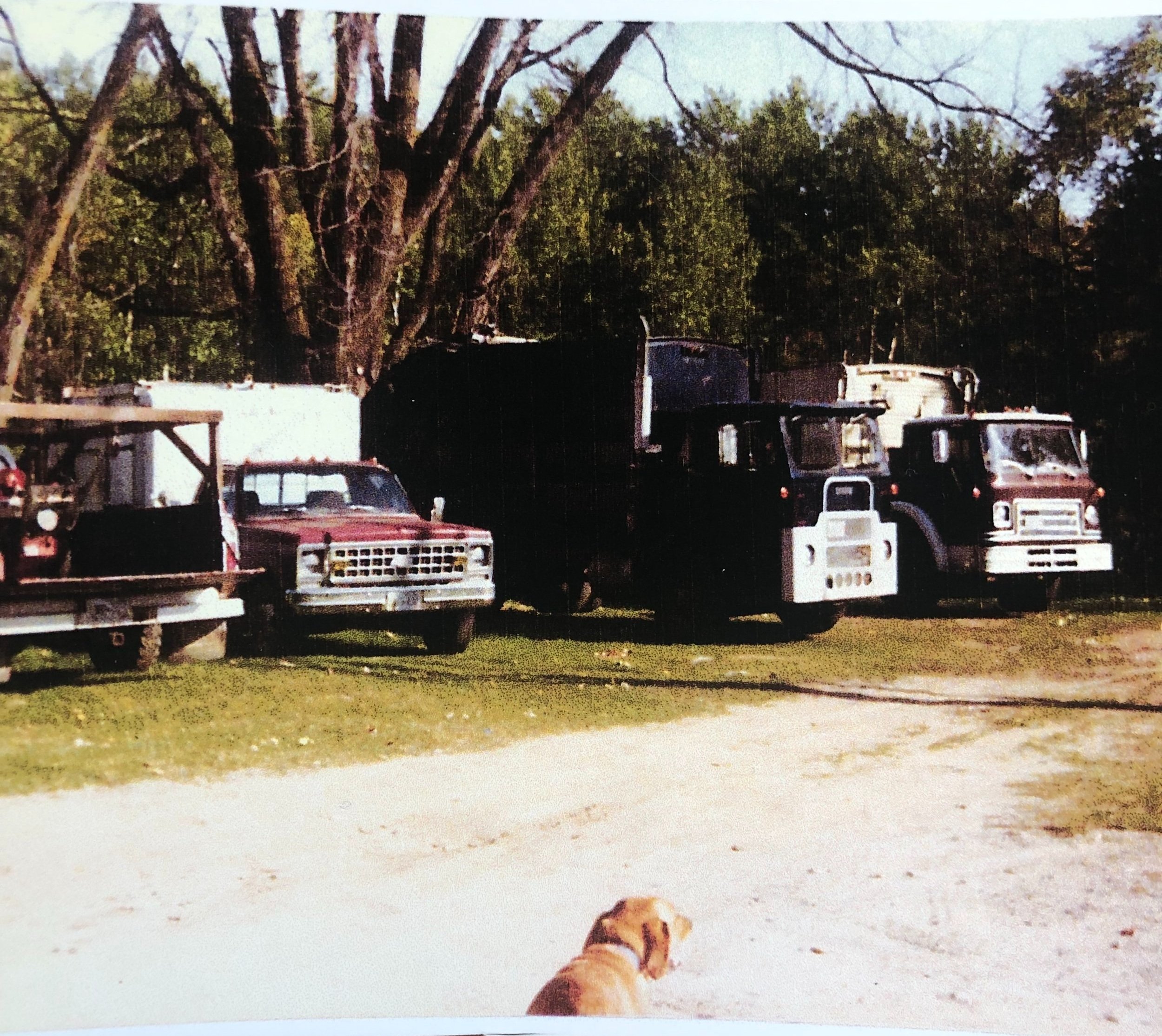 Photo 5