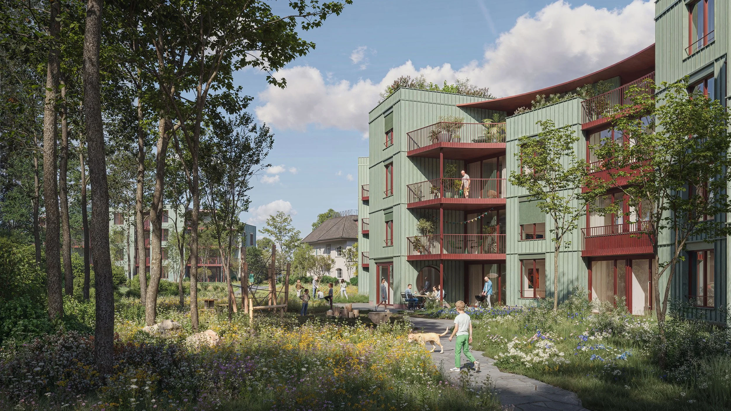 Perspektive aus dem Wald