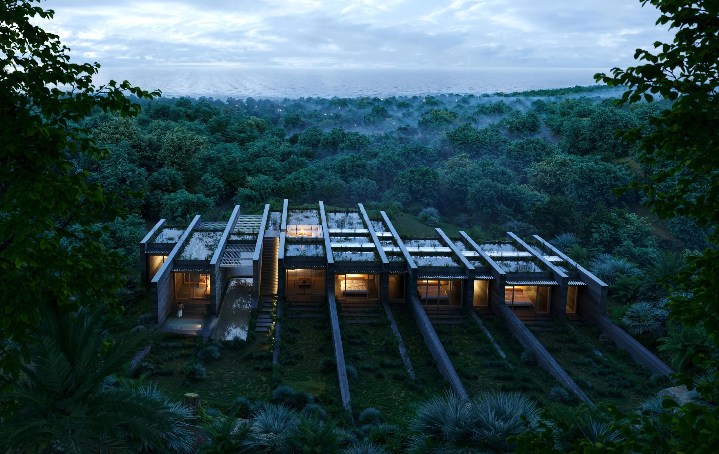 Perspective from the forest