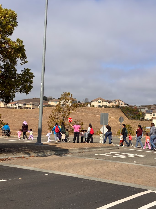 Classes crossing safely with a team member holding a stop sign