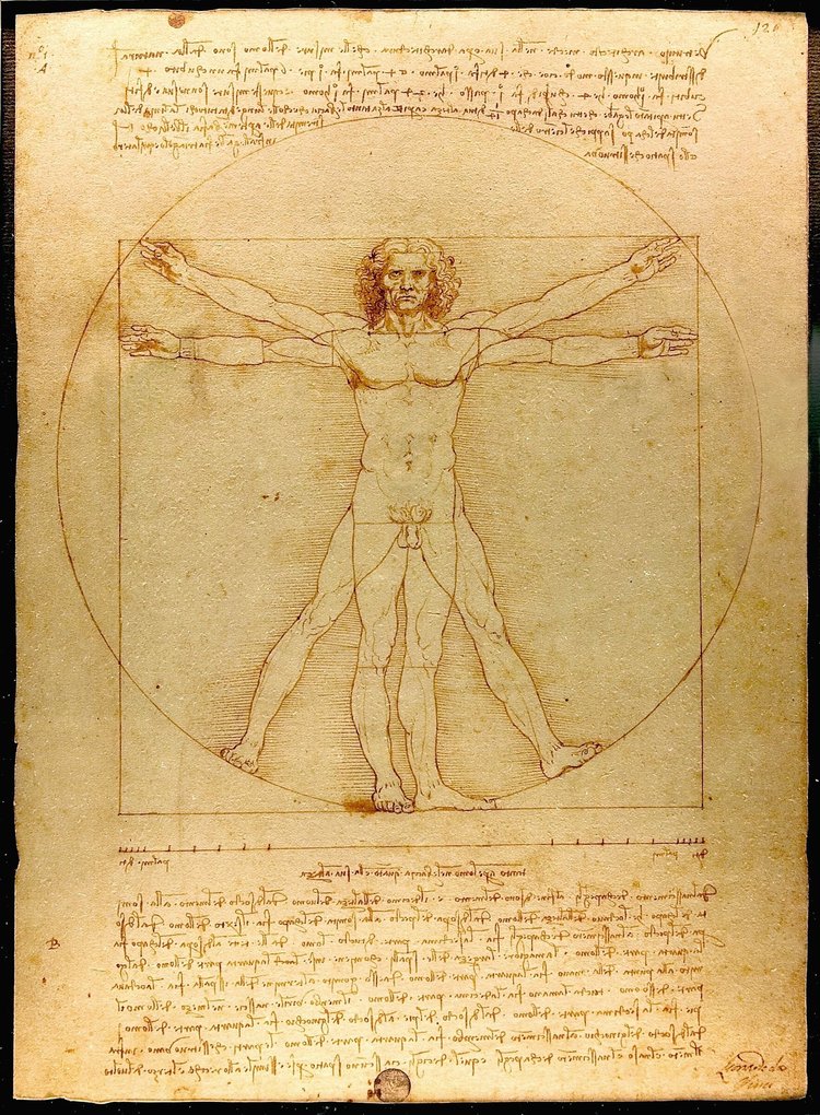 Homem Vitruviano, estudo de propor&ccedil;&otilde;es do corpo humano realizado por Leonardo da Vinci