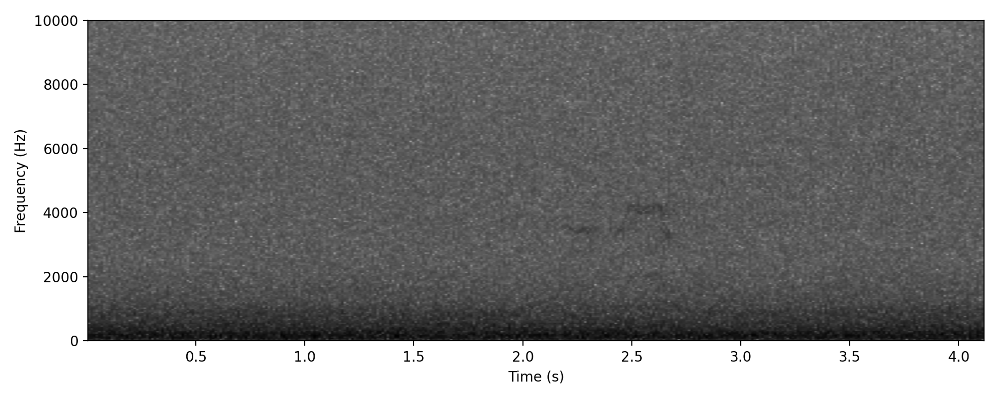 Brown Quail spectrogram