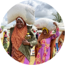 Food Security