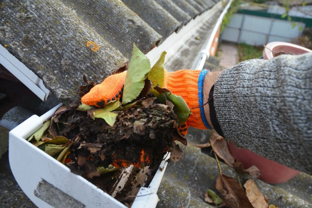 Gutter Cleaning Glenelg