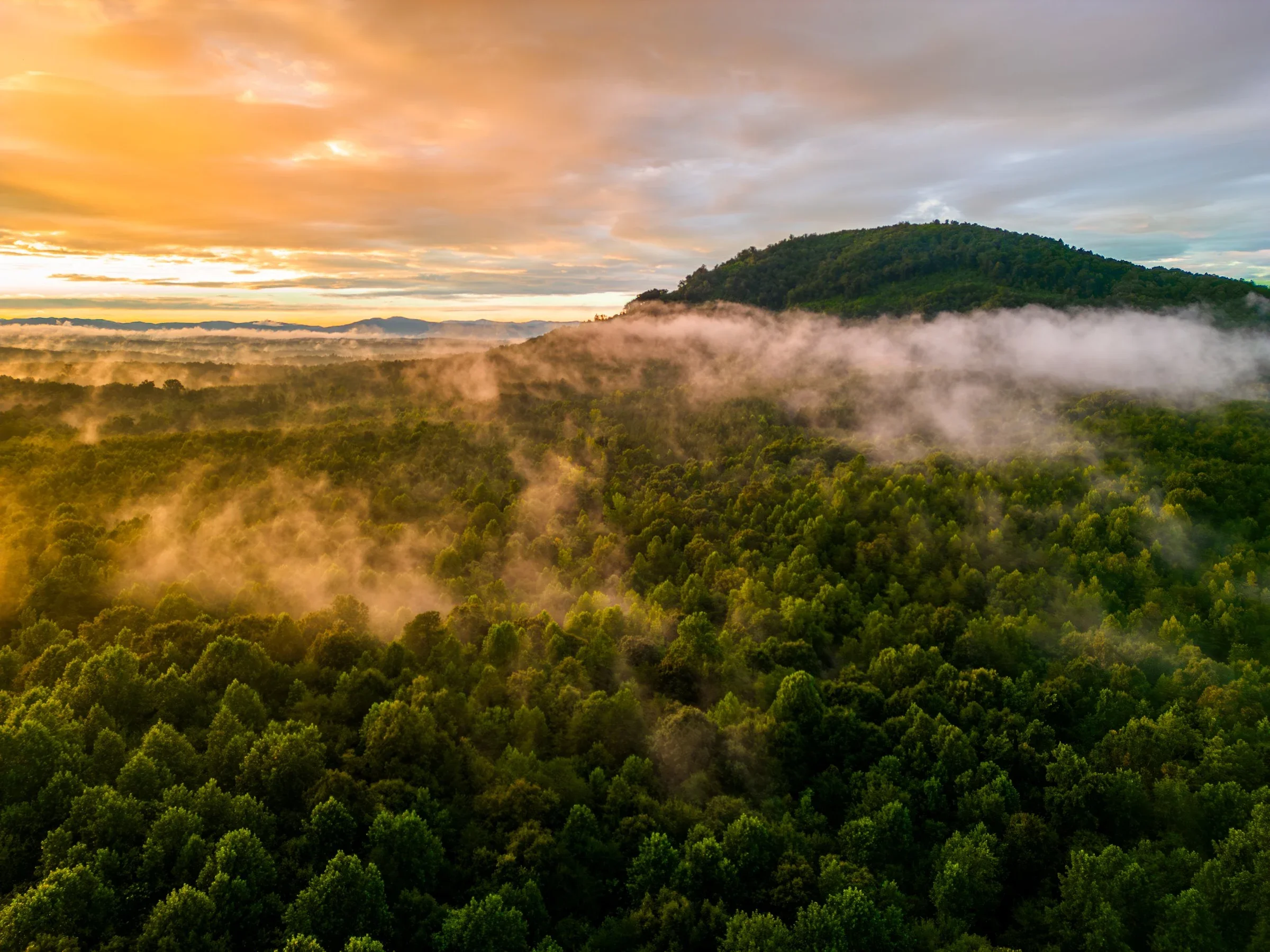 Golden light and drifting mist over forested slopes in the Black Mountains after a storm.