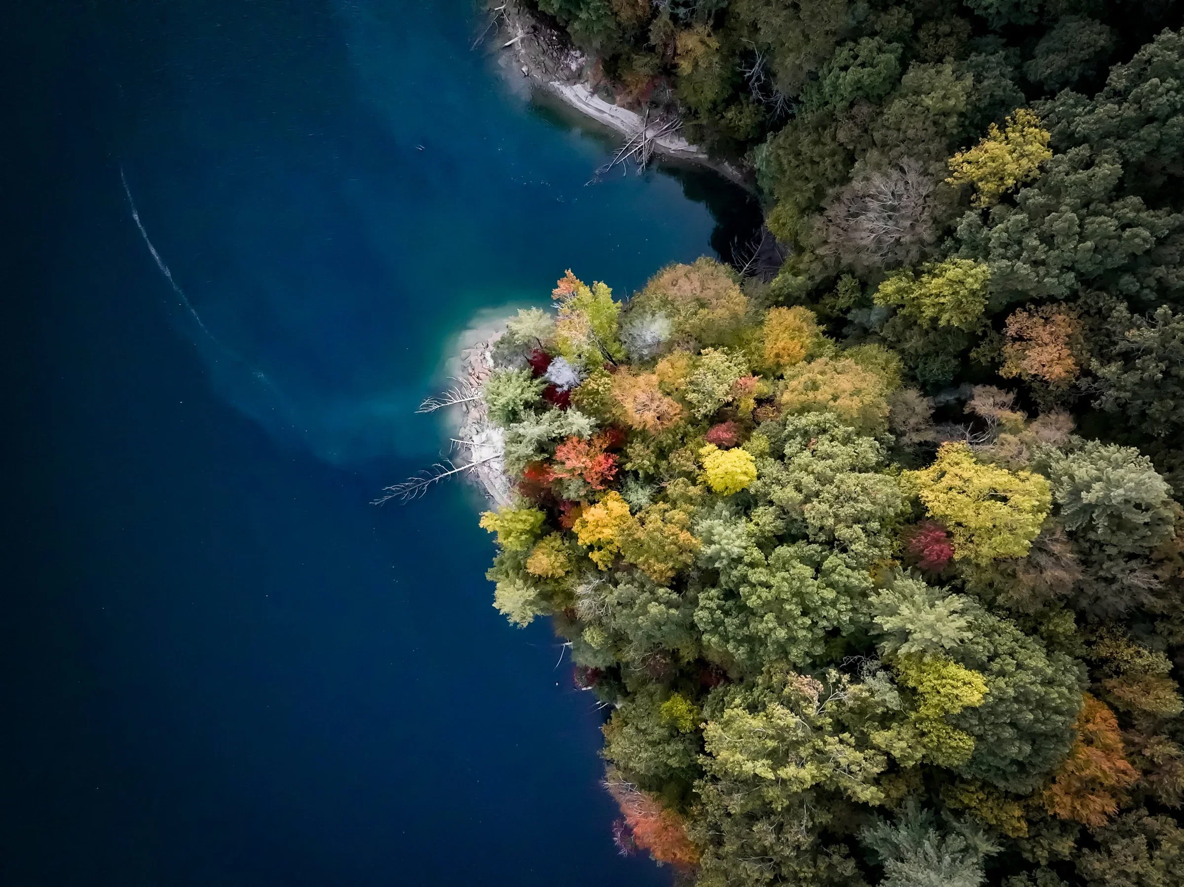 An autumn-colored peninsula meets deep blue water, seen directly from above.