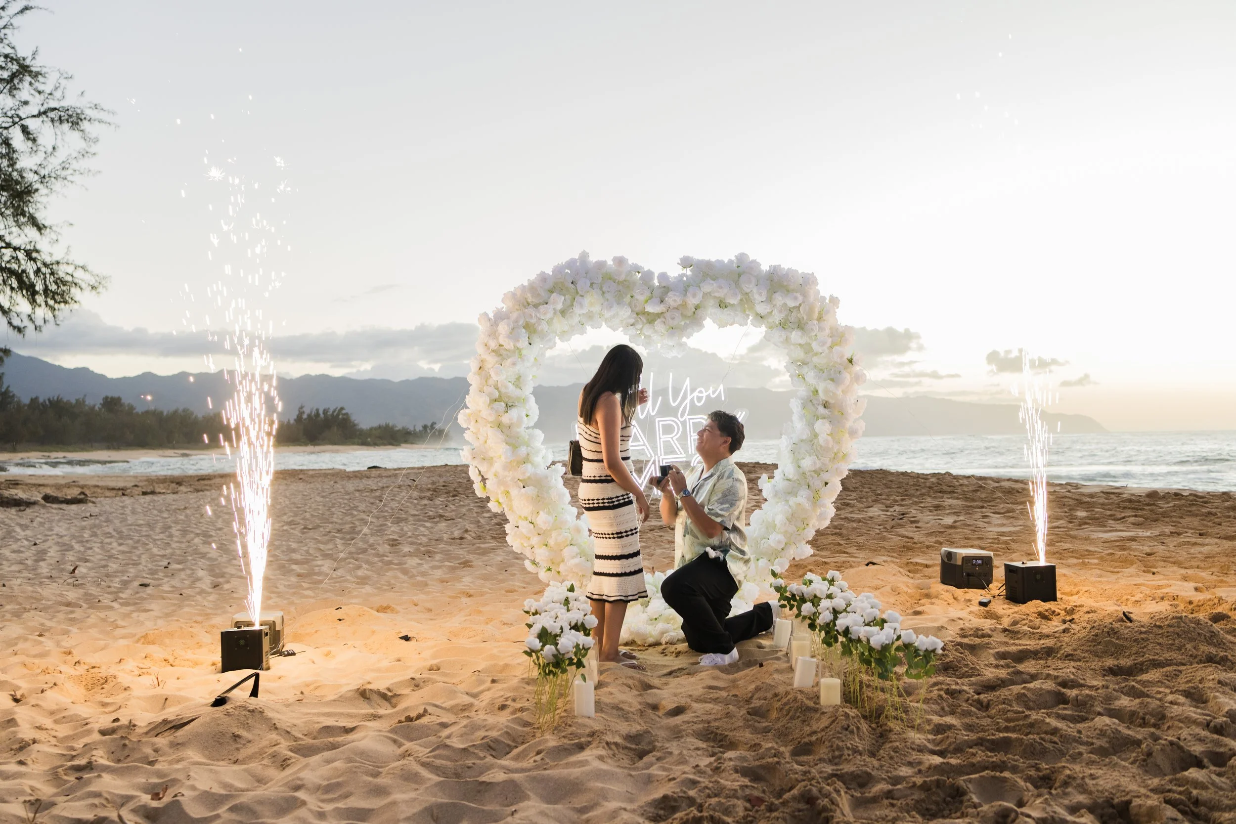 Real Hawaii Proposal