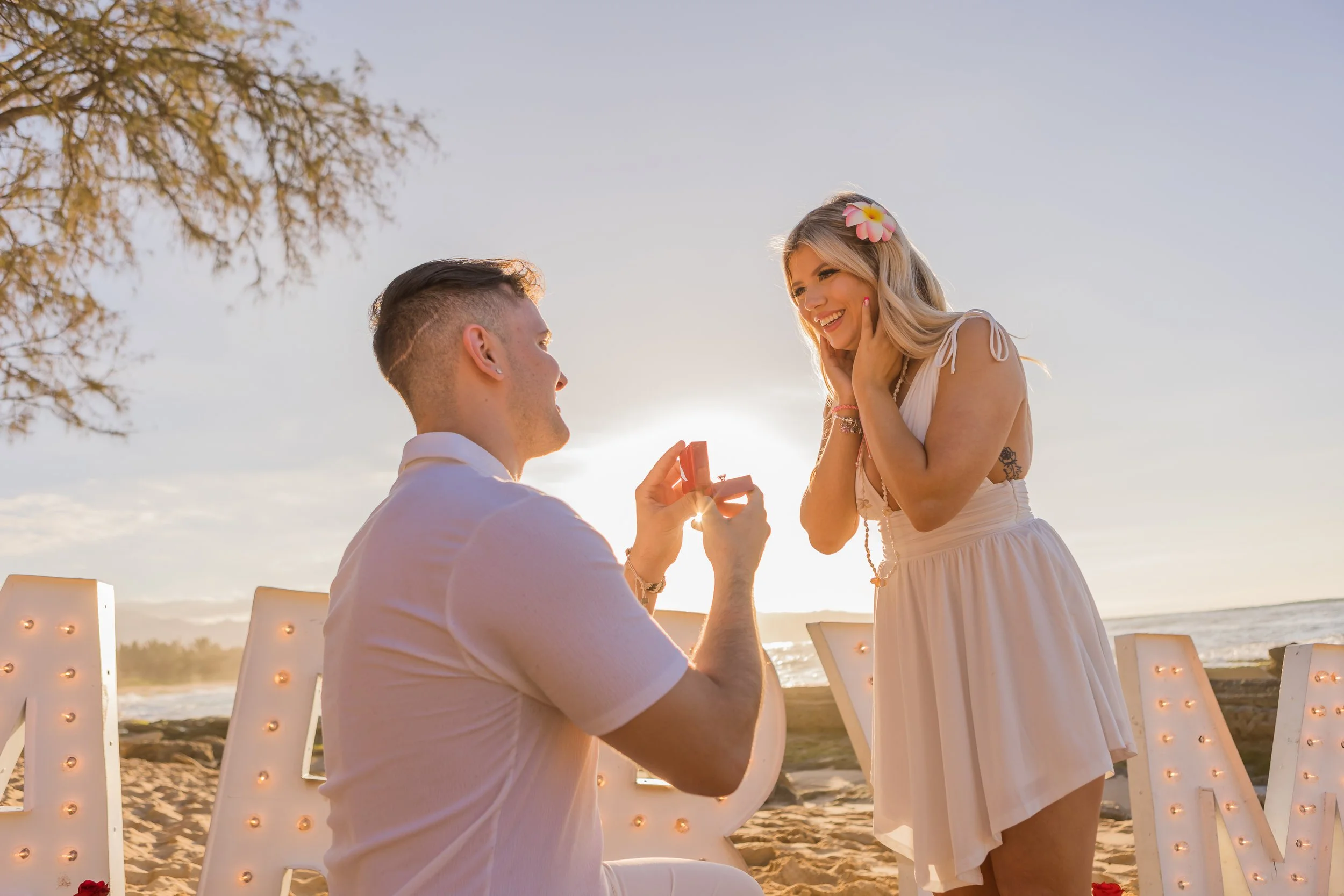 Real Hawaii Proposal