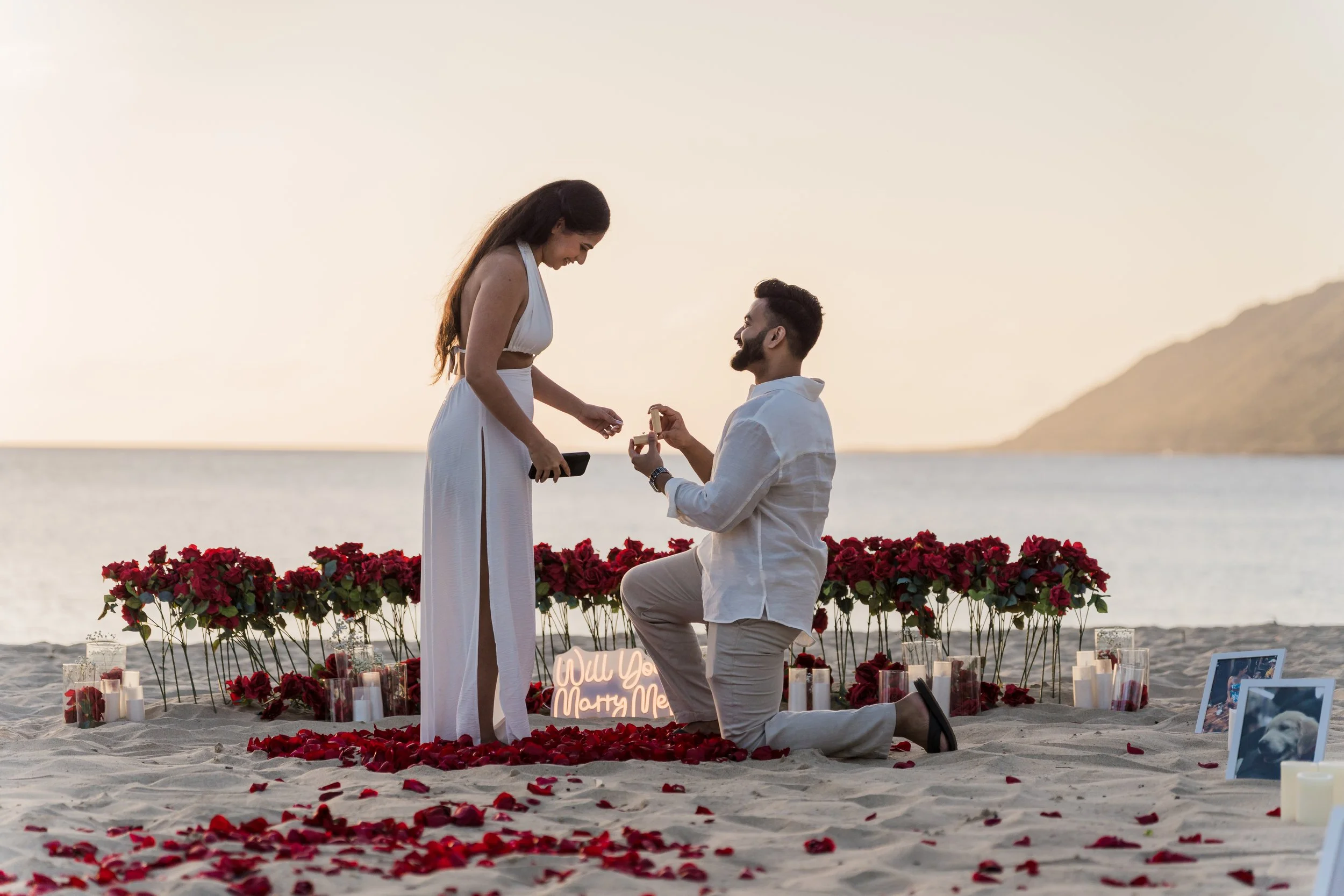 Real Hawaii Proposal