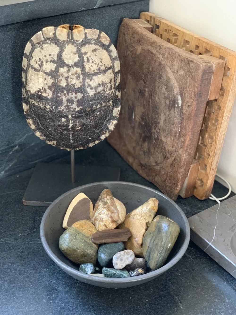 A turtle shell, a carved wood bowl and a dish of river stones on a dark counter