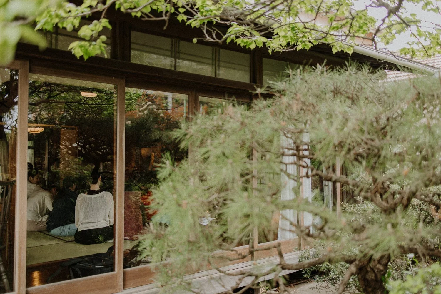 Participants sitting on tatami, seen through the glass doors of the house and pine branches