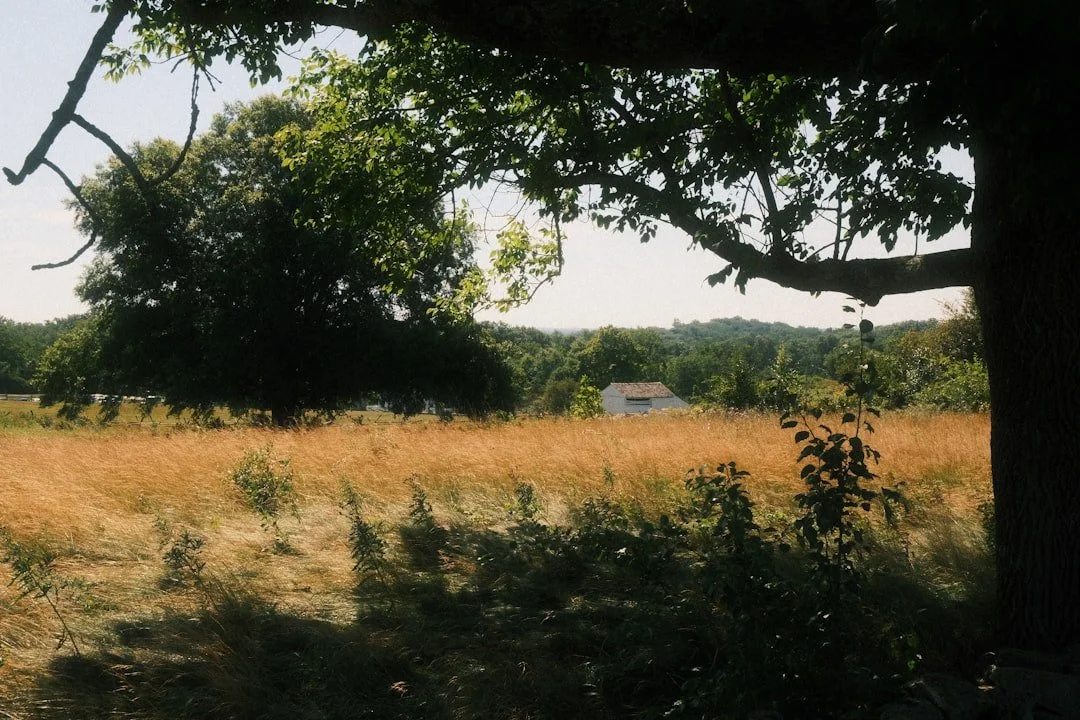 Horror location