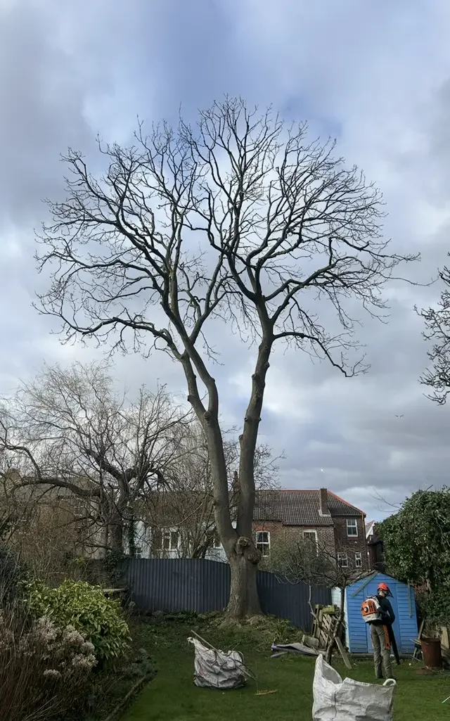 Tree reduction after