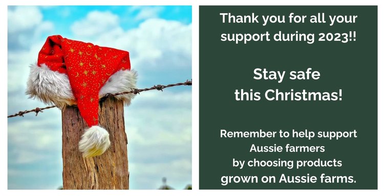 Christmas Message to Readers