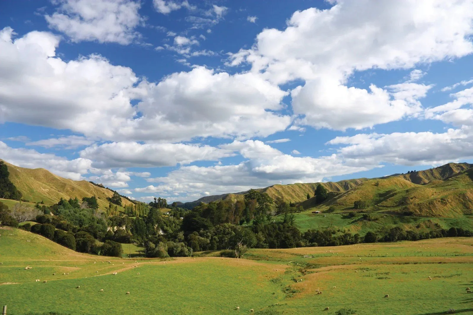 Manawatū-Whanganui