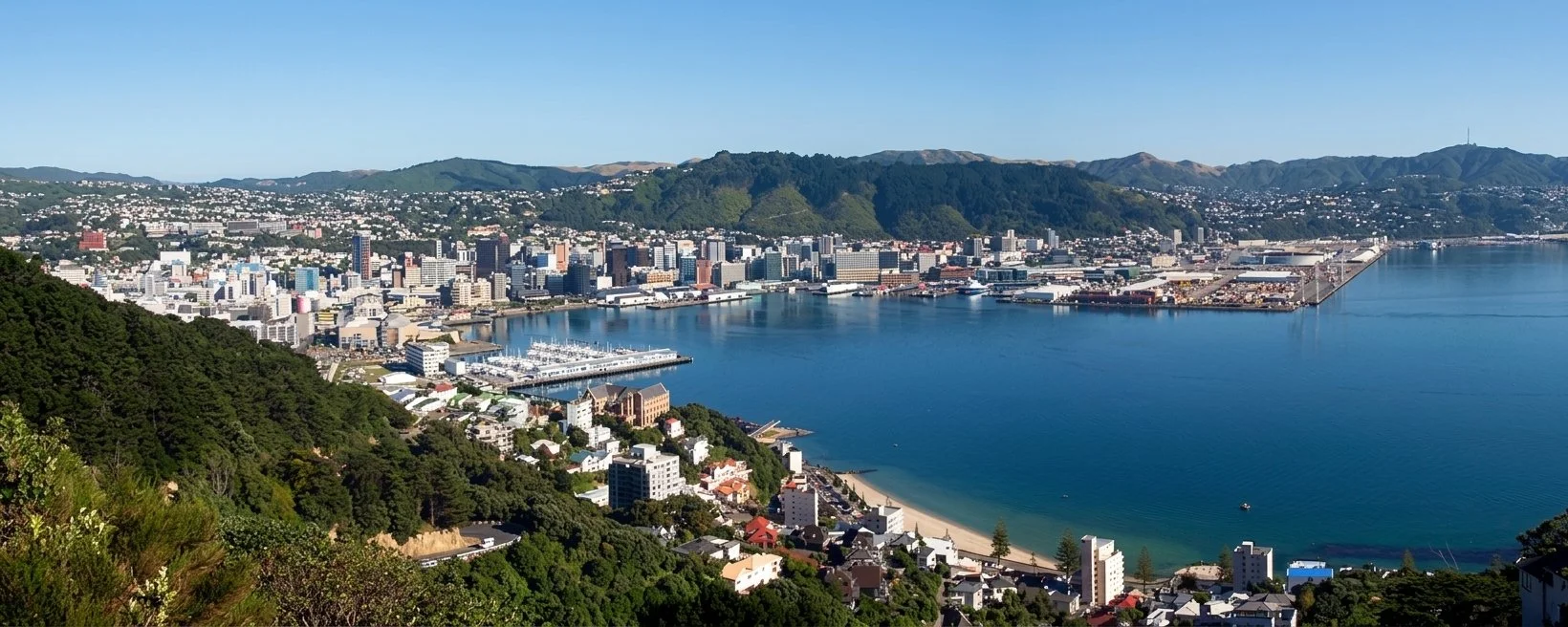 Wellington City