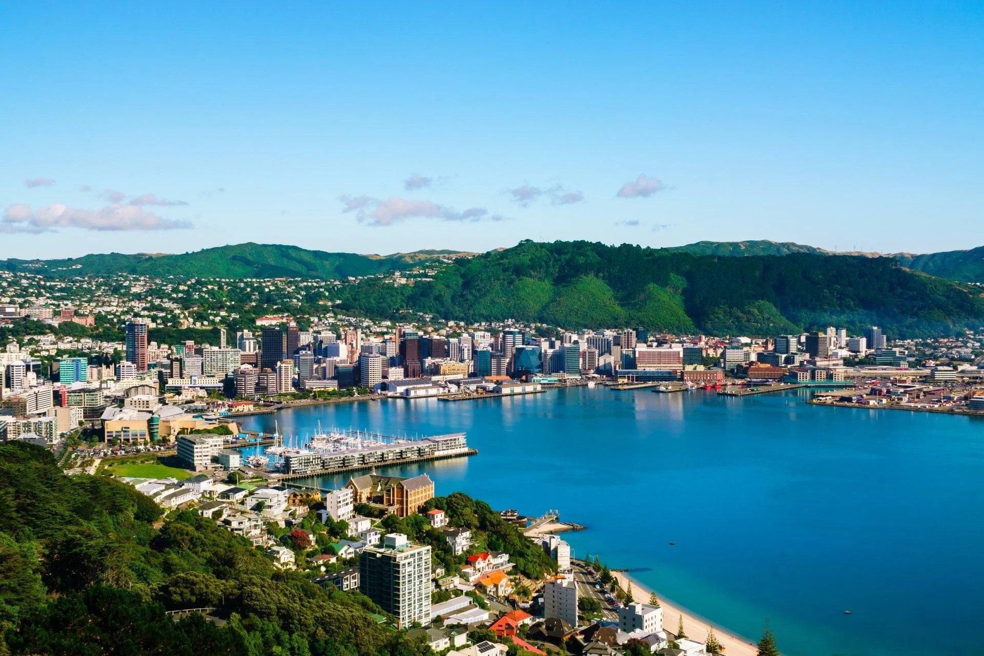 Wellington harbour and green space