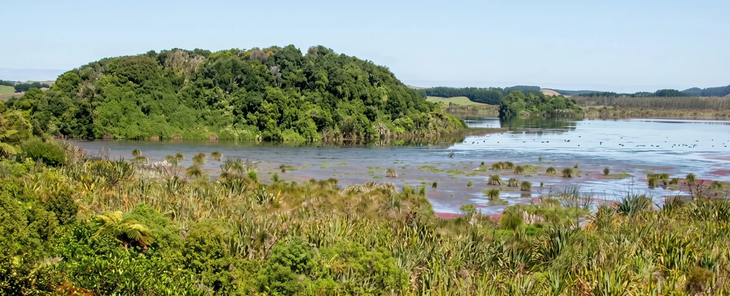 Horowhenua