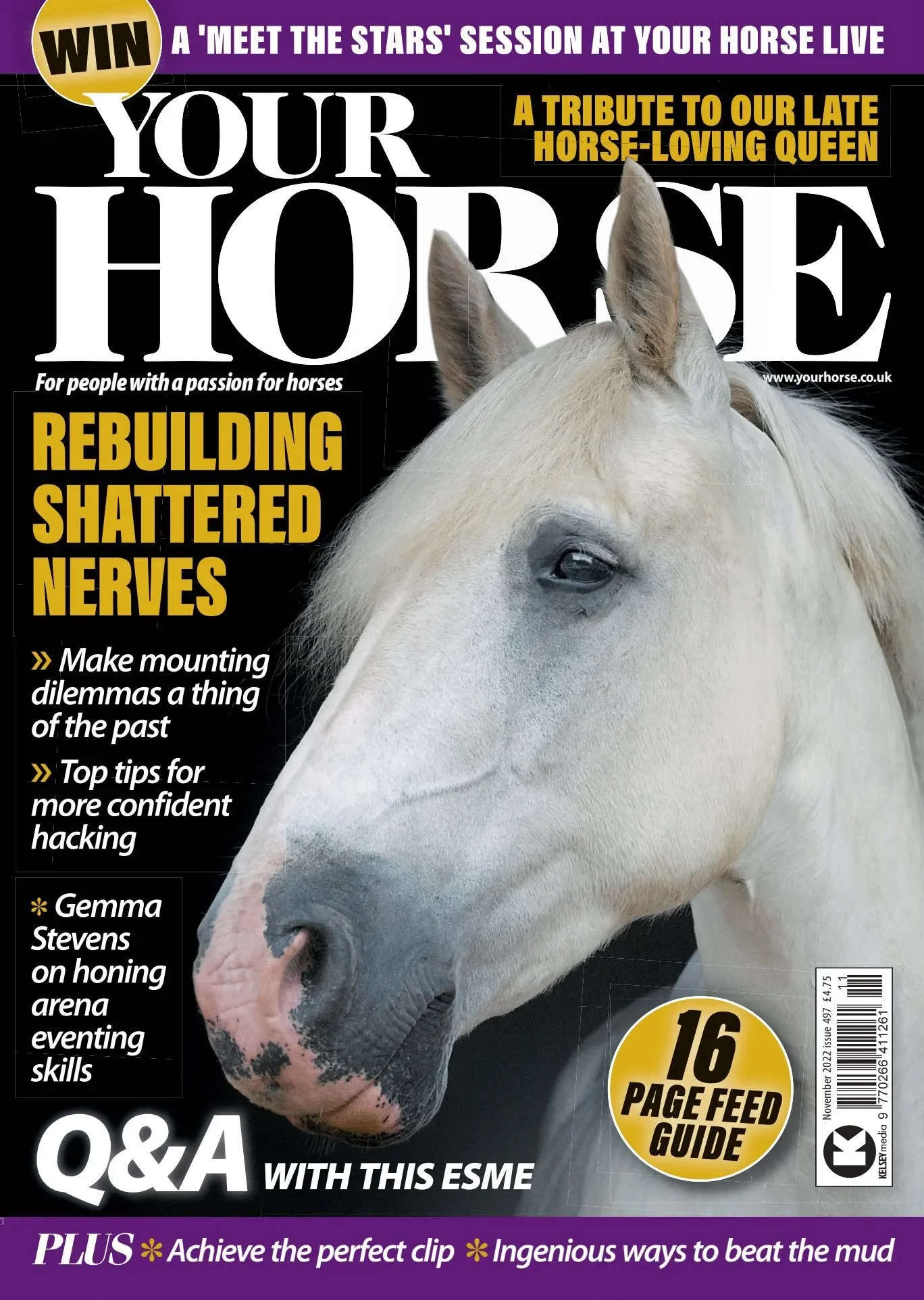 Your Horse magazine November 2022 cover