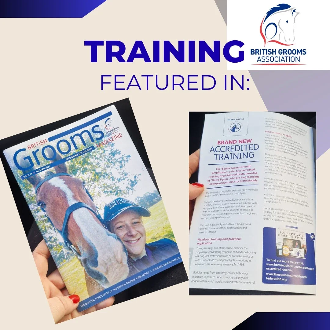 British Grooms Association magazine feature about Harris Equine accredited training