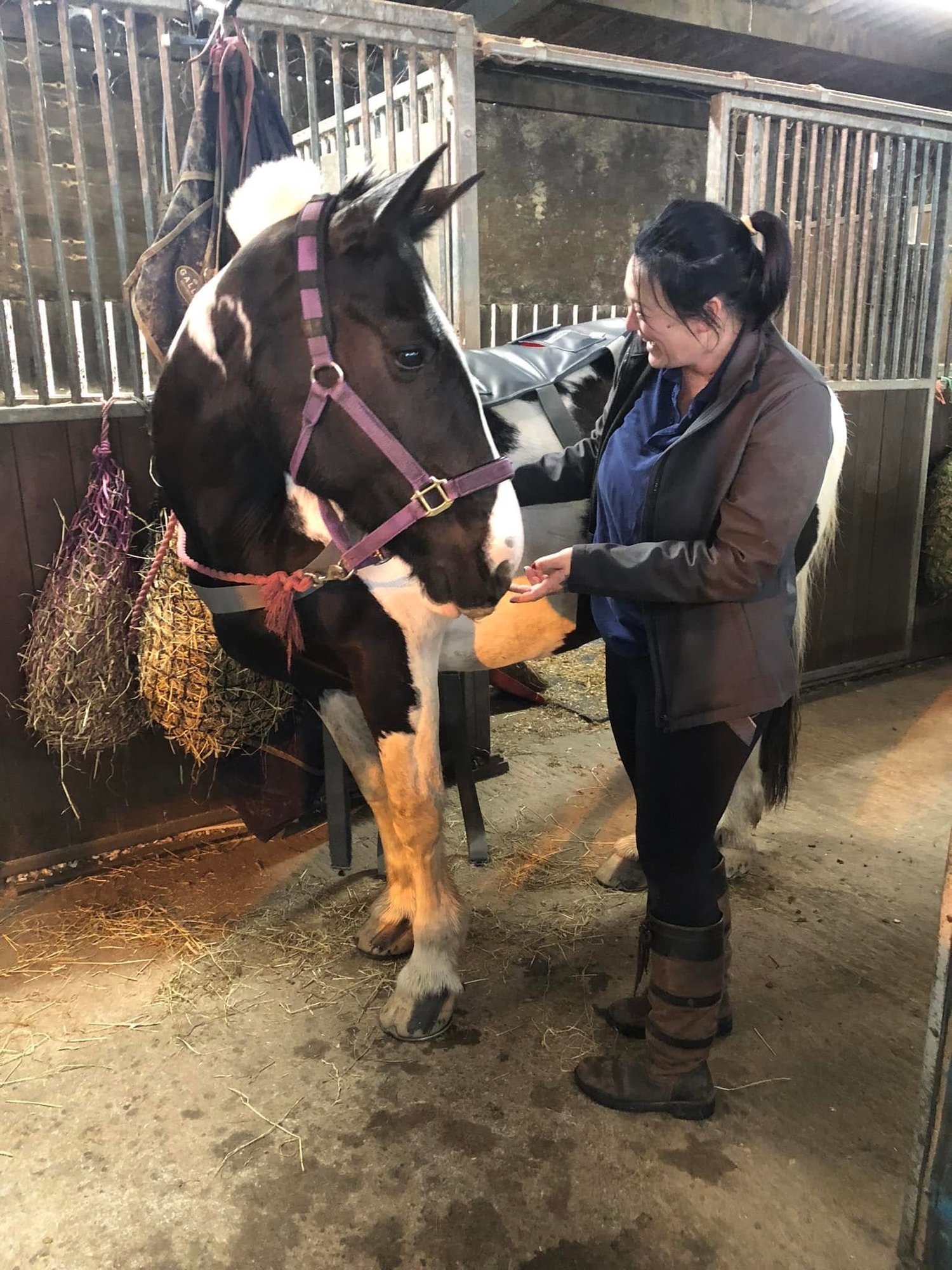 A Harris Equine practitioner standing calmly with a horse