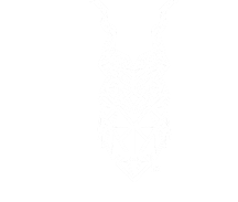 Kuduowl logo