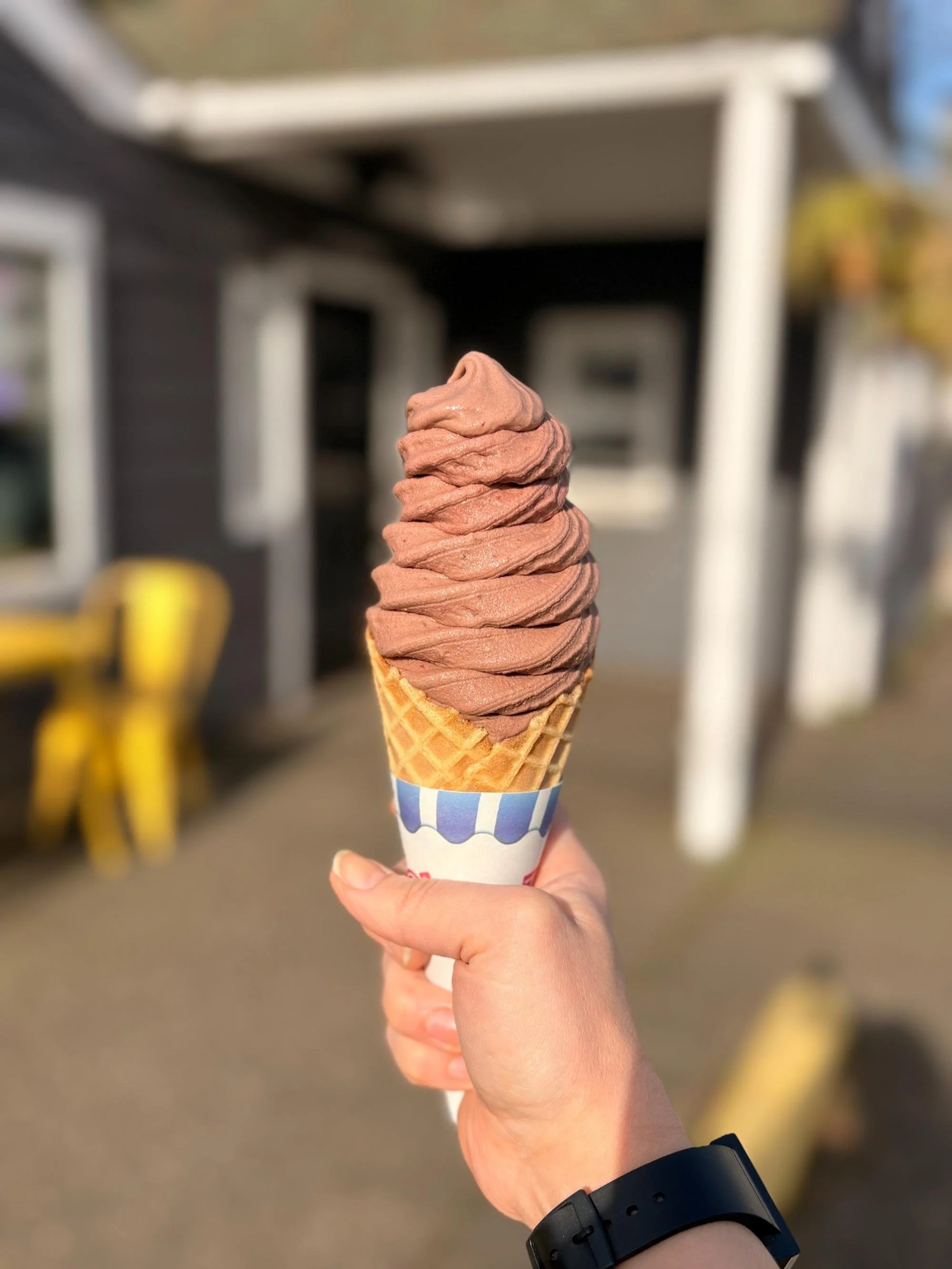 Tip Top catering real fruit ice cream