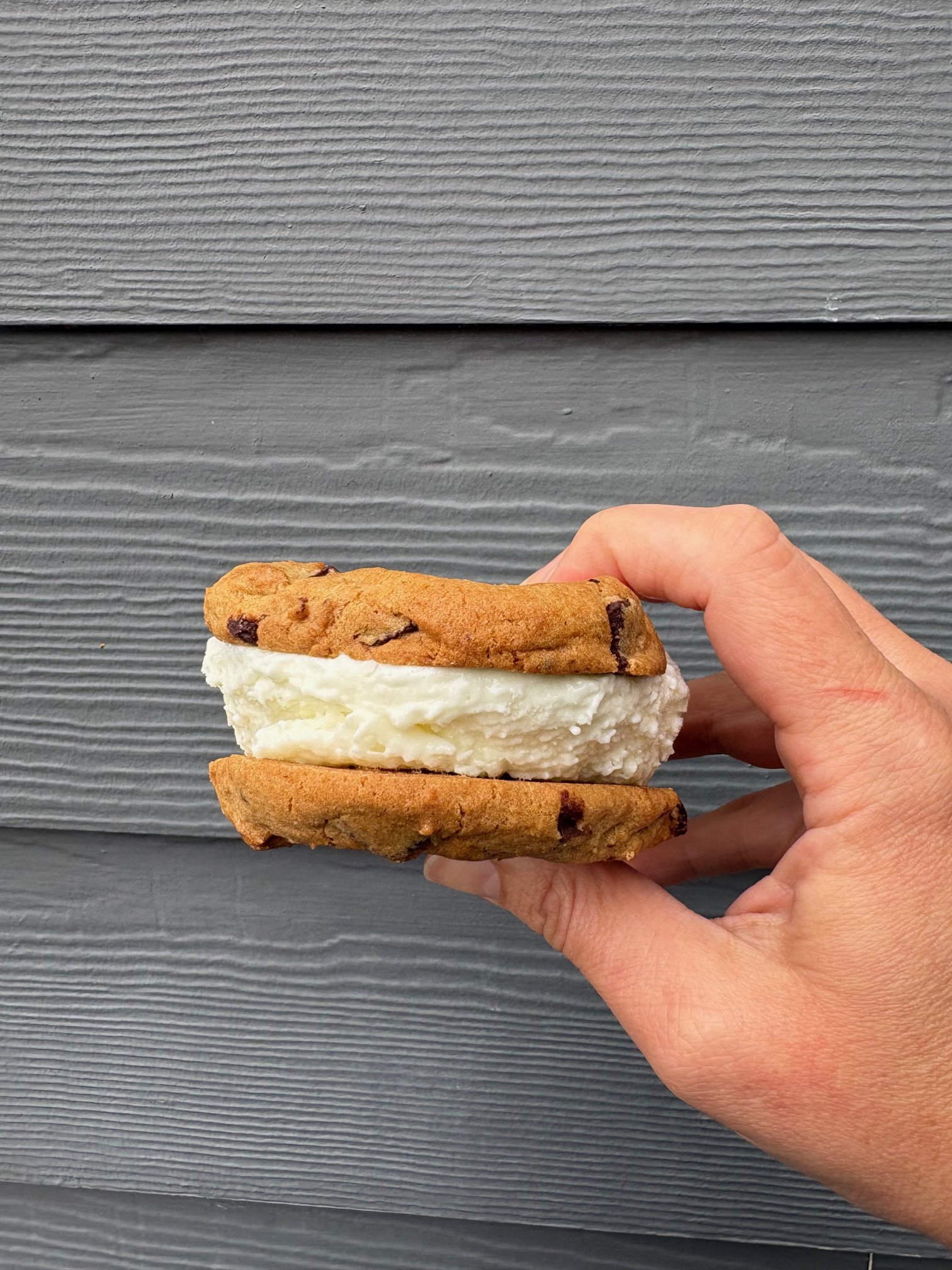 Tip Top Chocolate Chipwich