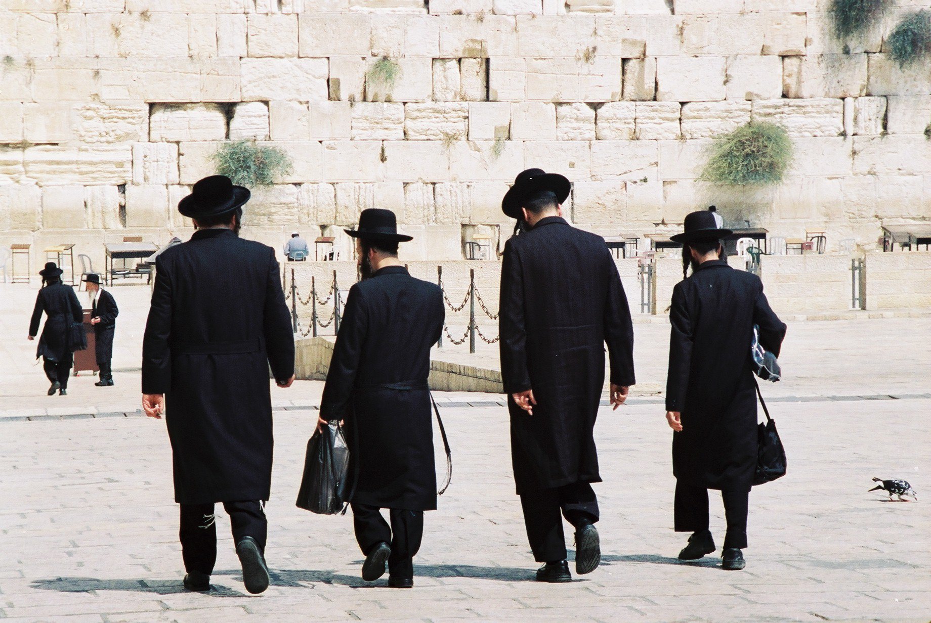 Image 3